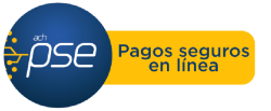 Recurso 1@13x